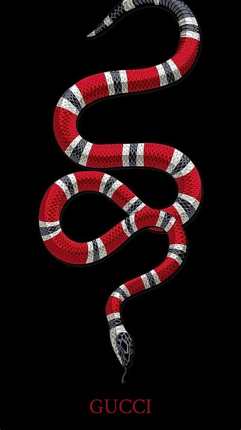 gucci serpente maglia|snake in gucci.